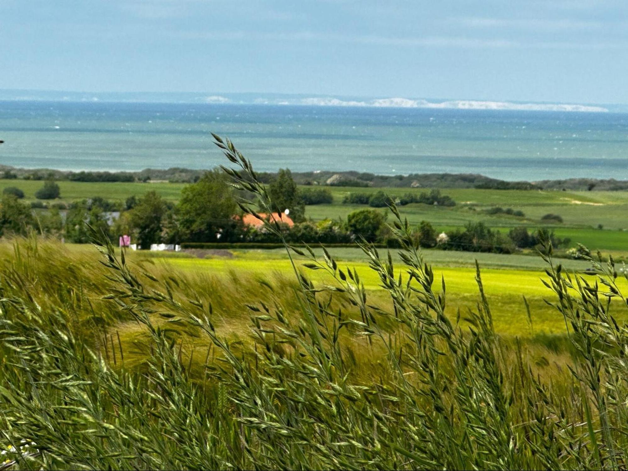 Villa La Madrague Des 2 Caps Audembert Esterno foto